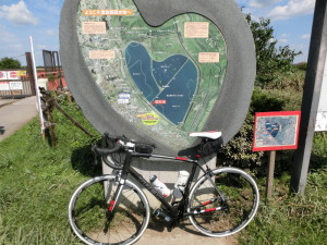 渡良瀬遊水地　自転車