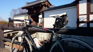 江戸川サイクリングロード　関宿城