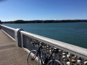 多摩湖　狭山湖　自転車