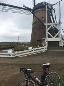 印旛沼サイクリングロード　風車