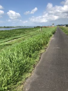 利根川サイクリングロード　ロードバイク