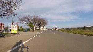 江戸川サイクリングロードを走る