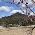 東京→筑波190km自走ライド｜ヒルクライム2本＋グルメ3選
